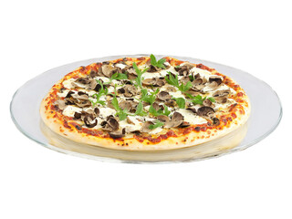 Porcini Mushroom Pizza with mozzarella and truffle oil served on a transparent glass plate gourmet