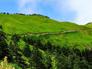 Taiwan high-mountain countryside, Taiwan's Little Europe, Qingjing Farm