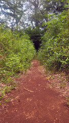 洞窟, 穴／cave hole／동굴, 구멍