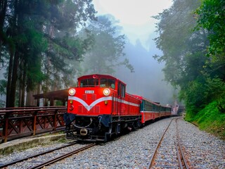Alishan National Park, mountain touring forest railway, Sacred Trees in Taiwan