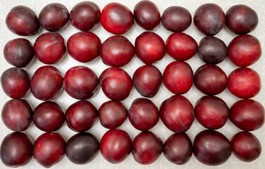 Several rows of red large plums on a white background