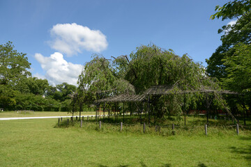 上賀茂神社　境内　京都市北区