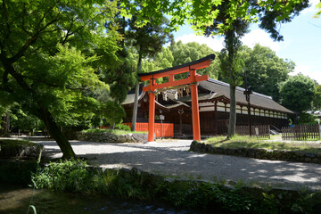 上賀茂神社　ならの小川と庁屋　京都市北区