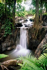 Serene waterfall cascading in lush green forest