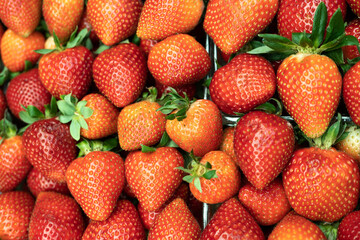 Fresh strawberries texture background, many strawberries at market. Vibrant red, juicy and ripe
