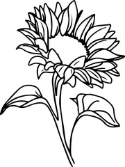 Line Illustration of a Sunflower