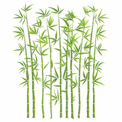 Bamboo illustrations illustration isolated on white background