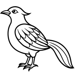 Sketch of a vintage bird - Vector design and illustration - Digital vector - Latest vector - Premium Victor