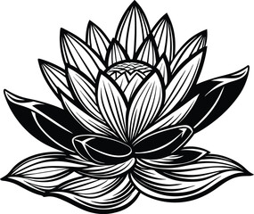 Fototapeta premium lotus flower vector illustration isolated on white background eps 10