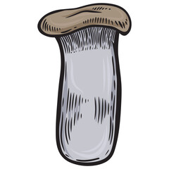 Line drawing eringi mushroom vector illustration.