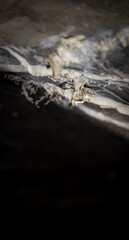 Mysterious Cave Formations in the Depths of Darkness