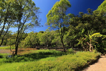 Obraz premium The integrity of the forest and nature of Huai Pang tong Reservoir at Pang Oung, Pang Tong Royal Development Project Mae Hong Son, Thailand 