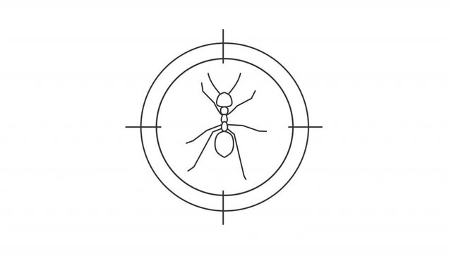 Animated ant scope icon. Roach bug line animation. Crosshair focusing. Termites control, house parasite. Black illustration on white background. HD video with alpha channel. Motion graphic