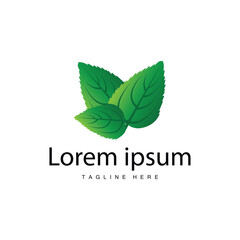Green Leaf logo vector natural plant nature design icon leaf template illustration