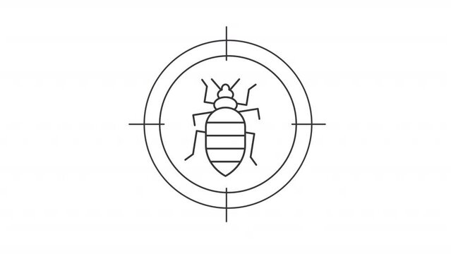 Animated bedbug icon. Termites control line animation. Moving crosshair, focusing. House parasite, infestation. Black illustration on white background. HD video with alpha channel. Motion graphic