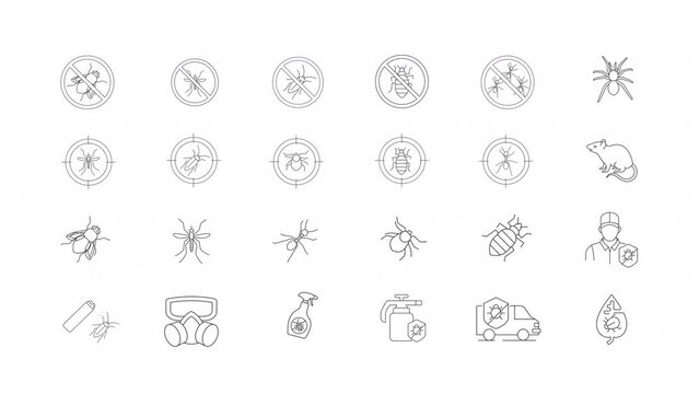 Animated insects icons. House parasites line animation library. Crosshairs moving. Pest control service. Black illustrations on white background. HD video with alpha channel. Motion graphic