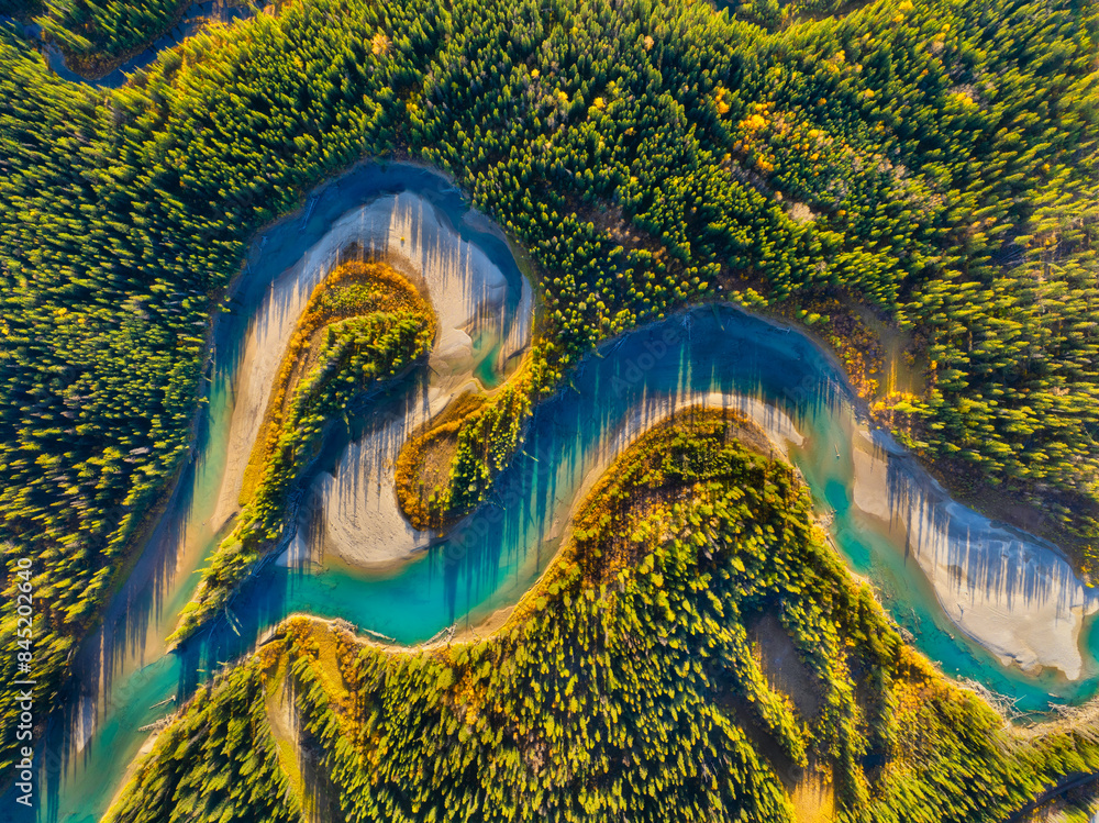Wall mural drone view of the river in the forest. an aerial view of an woods. winding river among the trees. tu