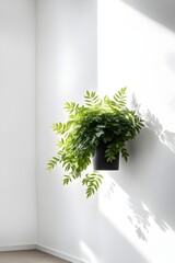 green leaf on a white wall