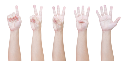 man hand gesture show number from one to five isolated on white background