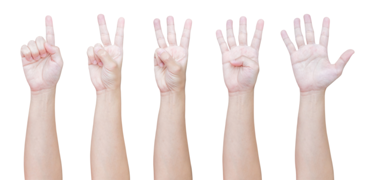 man hand gesture show number from one to five isolated on white background - Powered by Adobe