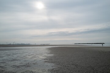 french north sea coast in the evening light