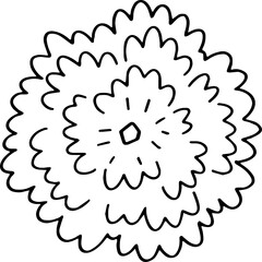 hand drawn top view of tree illustration.