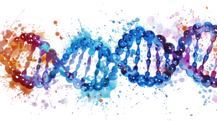 DNA on white isolated transparent background