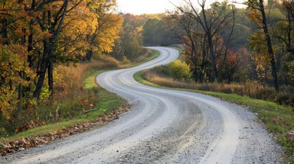 Fototapeta premium A winding country road surrounded by trees with leaves in the warm, fading colors of early fall