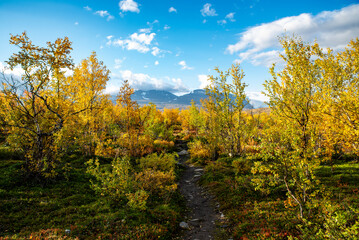 Fototapeta premium Hiking area in a sunrise morning in Abisko national park in north of Sweden.