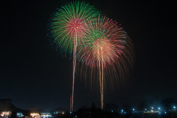 日本の芸術花火