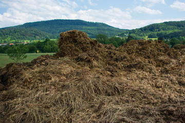 dung heap of enormous size with a large proportion of straw and hay and dung