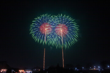 日本の芸術花火