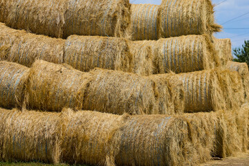 Straw bales stored at an agricultural farm