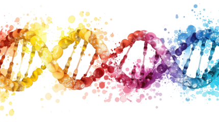 DNA on white isolated transparent background