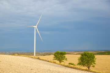 Wind turbine generators for green electricity production