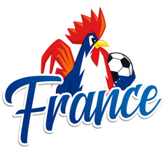 Coq français, supporter football, France, 2024 © jocelyn