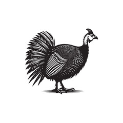 Guinea fowl Silhouette: Enhance Your Artwork with Exotic Bird Graphics- Guinea fowl Vector - Guinea fowl Illustration.