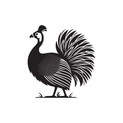 Guinea fowl Silhouette: Enhance Your Artwork with Exotic Bird Graphics- Guinea fowl Vector - Guinea fowl Illustration.
