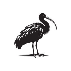 Ibis  Bird Silhouette: Vector Art Celebrating the Grace and Beauty of this Elegant Bird- Ibis Bird Vector - Ibis Bird Illustration.
