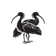 Ibis  Bird Silhouette: Vector Art Celebrating the Grace and Beauty of this Elegant Bird- Ibis Bird Vector - Ibis Bird Illustration.