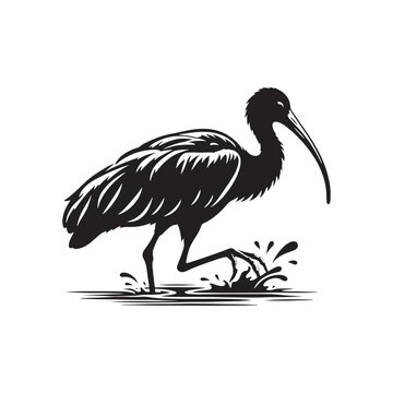 recommend clip art: Ibis  Bird Silhouette: Vector Art Celebrating the Grace and Beauty of this Elegant Bird- Ibis Bird Vector - Ibis Bird Illustration.