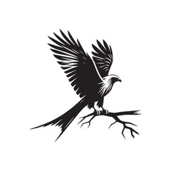 Kite Bird Silhouette: Vector Graphics Depicting the Elegance and Freedom of Flight - Kite Bird Vector - Kite Bird Illustration - Bird Silhouette.