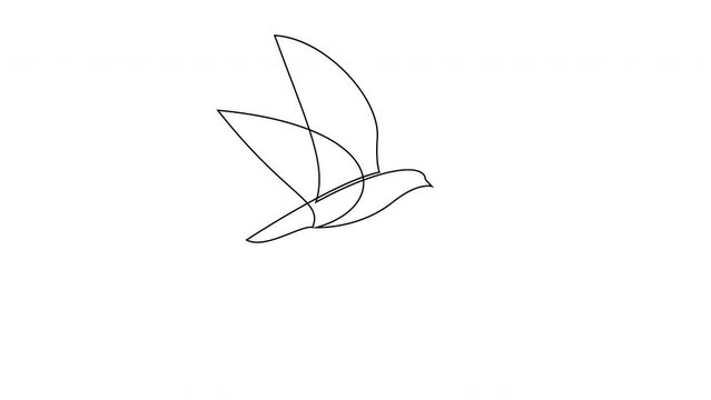 2d Animation motion graphics continuous line drawing of bird flying - side view. 4k loop video.
