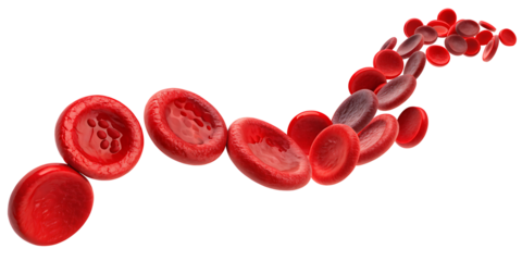 Erythrocytes blood cell stream isolated on white background. png AI GENERATED