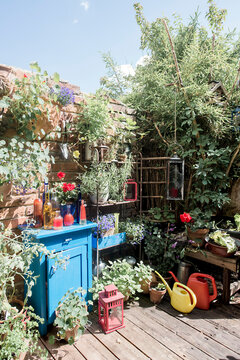 Austria,SalzburgerLand,AltenmarktimPongau,Potted plants, bottles and blue cabinet by brick wall in summer garden