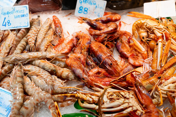 Tasty yummy Fresh organic tiger shrimps or prawns on ice background.