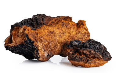 Chaga mushroom pieces isolated on white background. With clipping path.