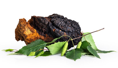 Chaga mushroom pieces with birch leaves isolated on white background. With clipping path.