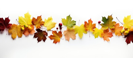 A vibrant border decoration adorned with colorful autumn leaves displaying hues of yellow green and brown set against a pristine white background with ample copy space image
