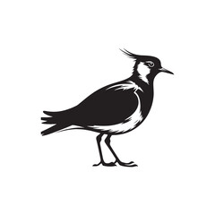 Bold Lapwing Bird Silhouette: Vector Graphics Adding a Touch of Natural Splendor to Your Designs- Lapwing Bird Illustration - Lapwing Bird Vector.